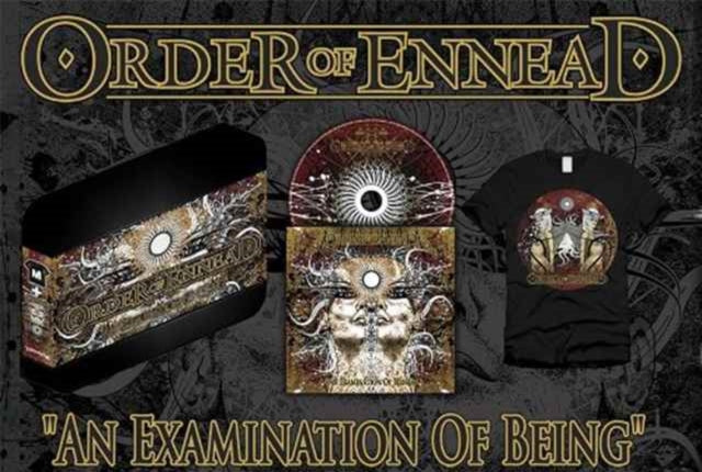Examination Of Being Tshirt Pack Medium