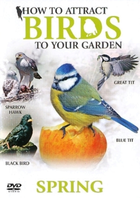 How To Attract Birds To Your Garden Spri