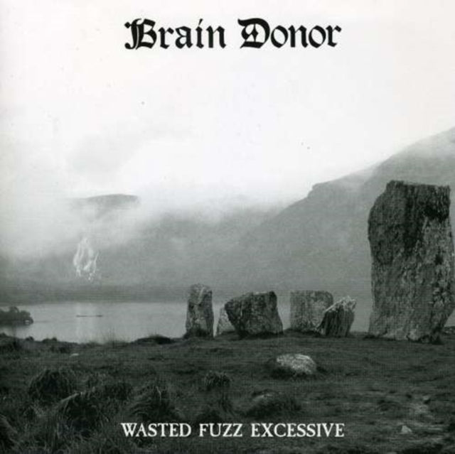 Wasted Fuzz Excessive