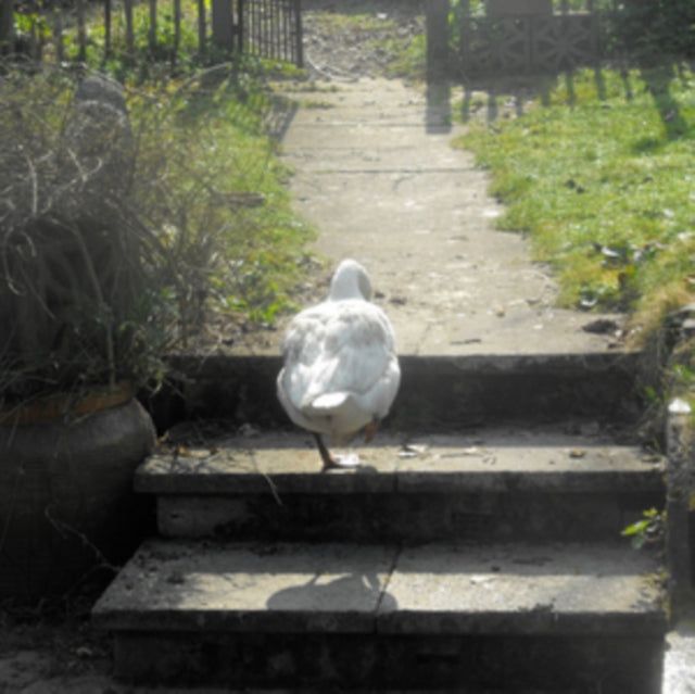 The Slowdown: Epilogue