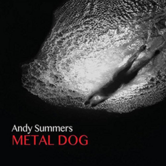 Metal Dog