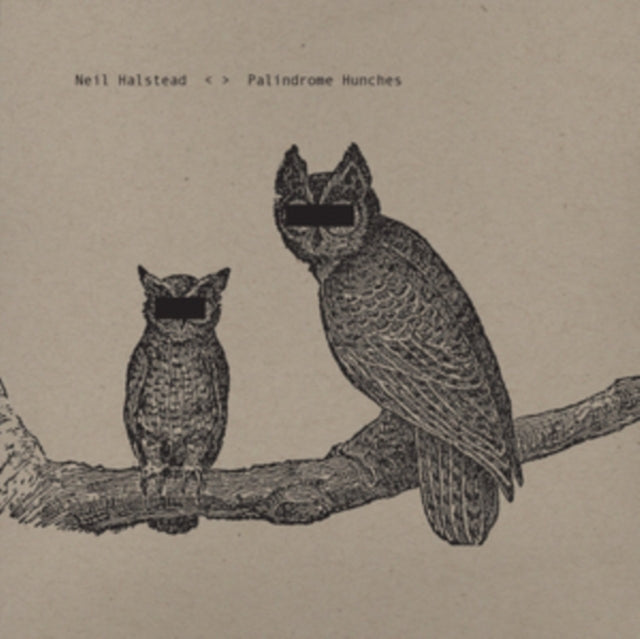 Palindrome Hunches
