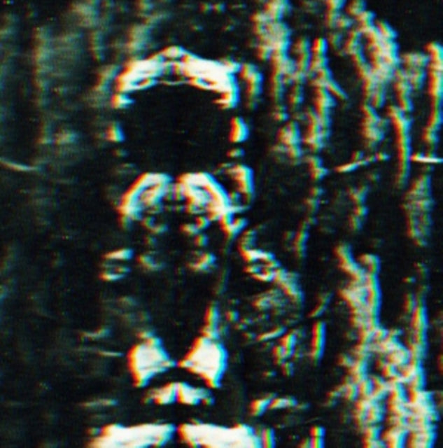 The Forest, the People and the Spirits