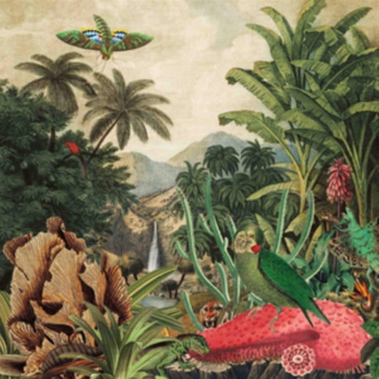 Imaginary Island Music