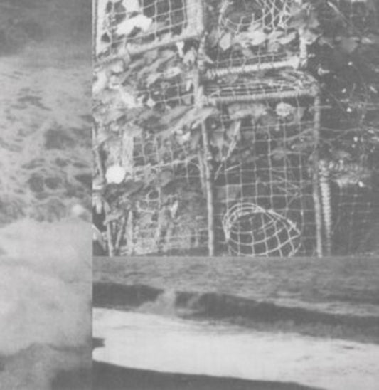 The Processes and Instruments of Normal People