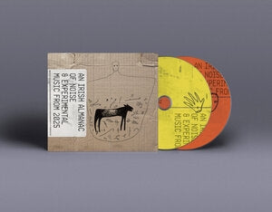 An Irish Almanac of Noise & Experimental Music from 2025