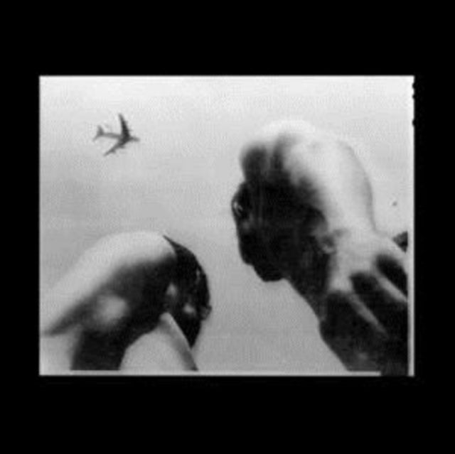 Metal Bird
