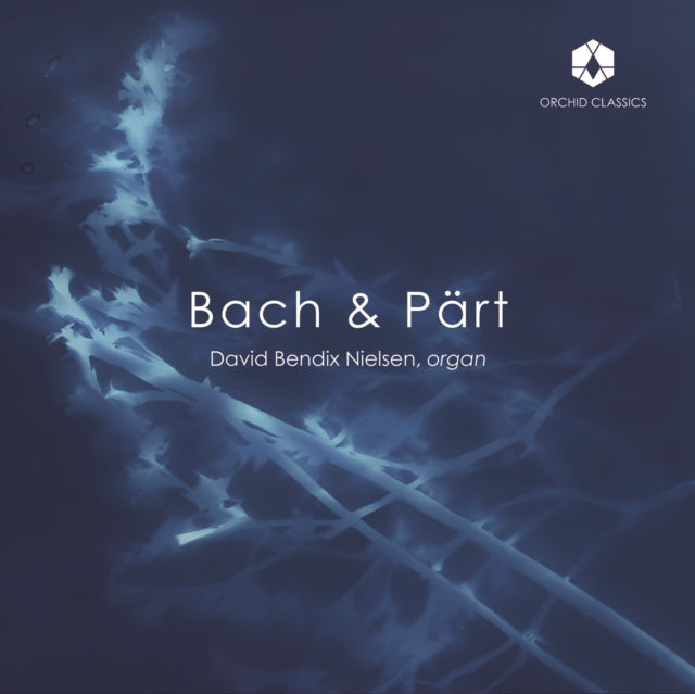 David Bendix Nielsen: Bach & Pärt