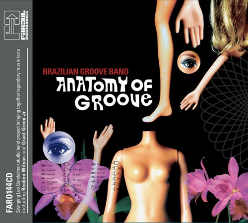 Anatomy of groove