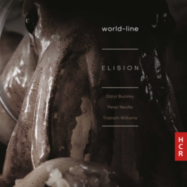 Elision: World-line