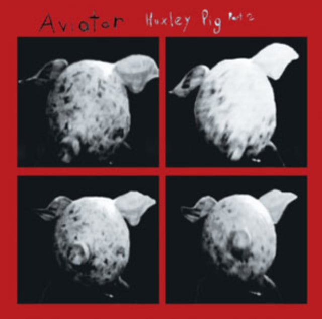 Huxley Pig Part 2