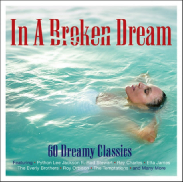 In a Broken Dream