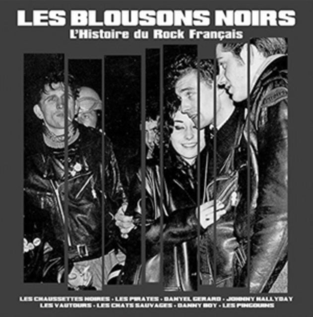 Les Blousons Noirs