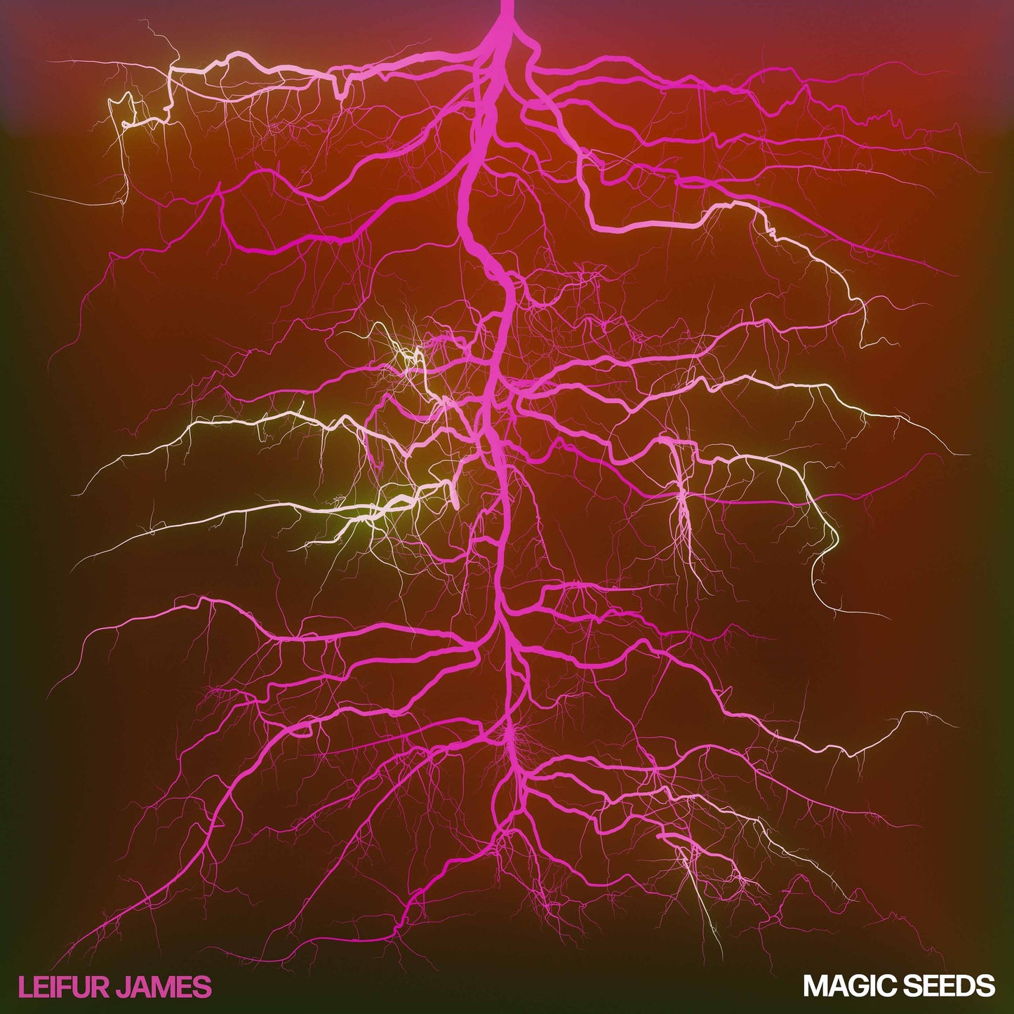 Magic Seeds (Deluxe Edition) (Ruby Vinyl) (+Booklet) (Indies)