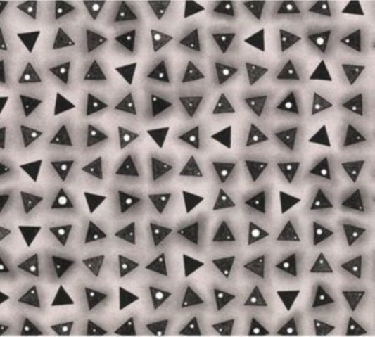 Shapeshifter