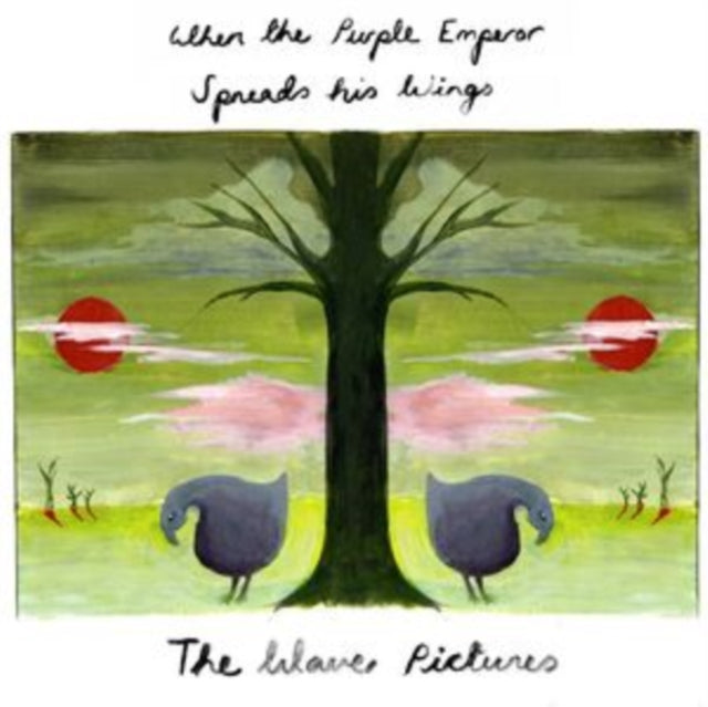 When the Purple Emperor Spreads His Wings