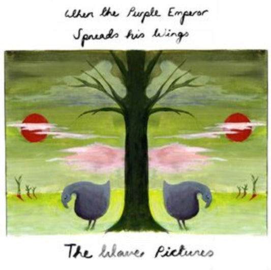 When the Purple Emperor Spreads His Wings