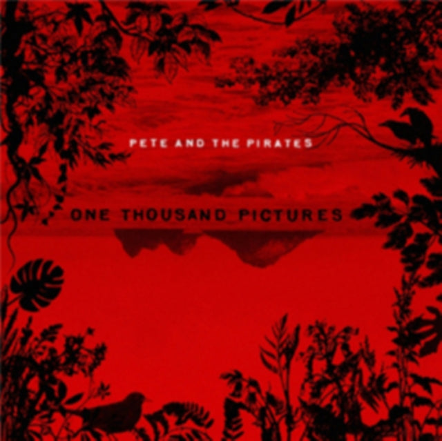 One Thousand Pictures