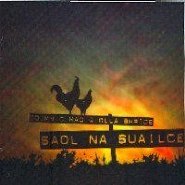 Saol Na Suailce