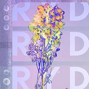 Ryd