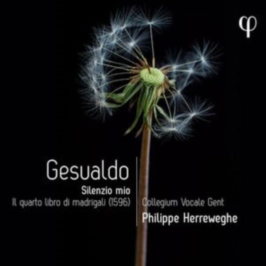 Gesualdo: Silenzio Mio
