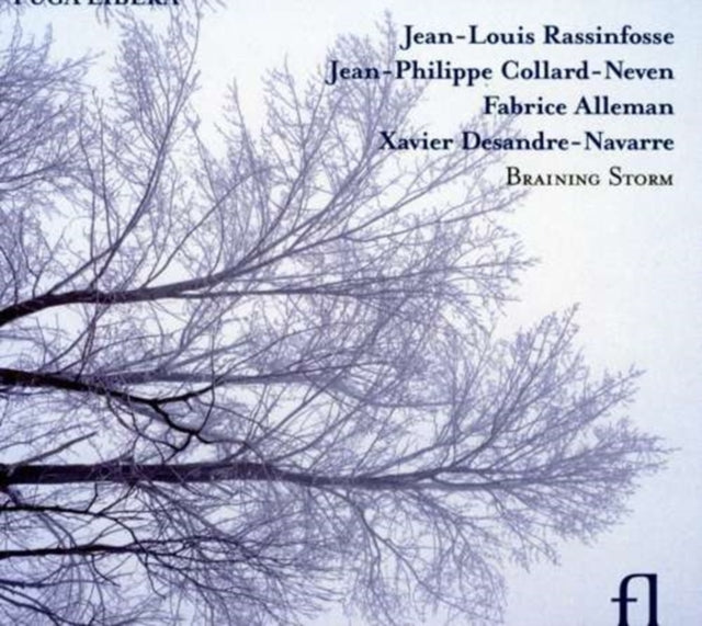 Braining Storm Rassinfosse Jeanlouis