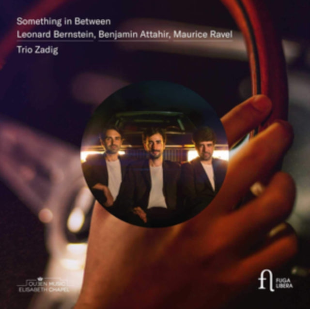 Trio Zadig: Something in Between