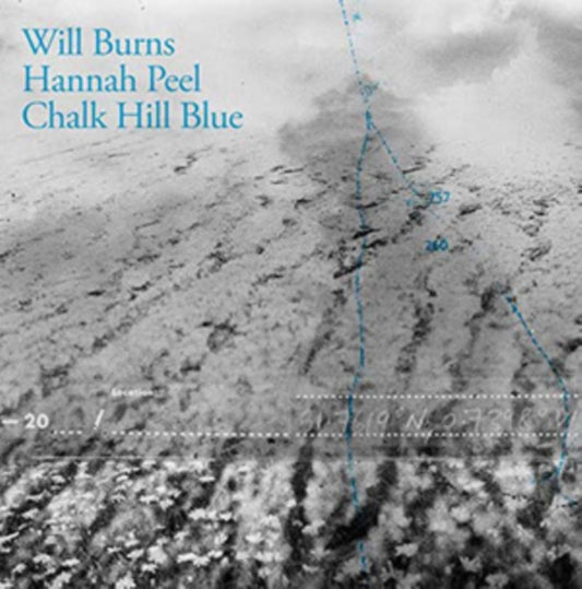 Chalk Hill Blue