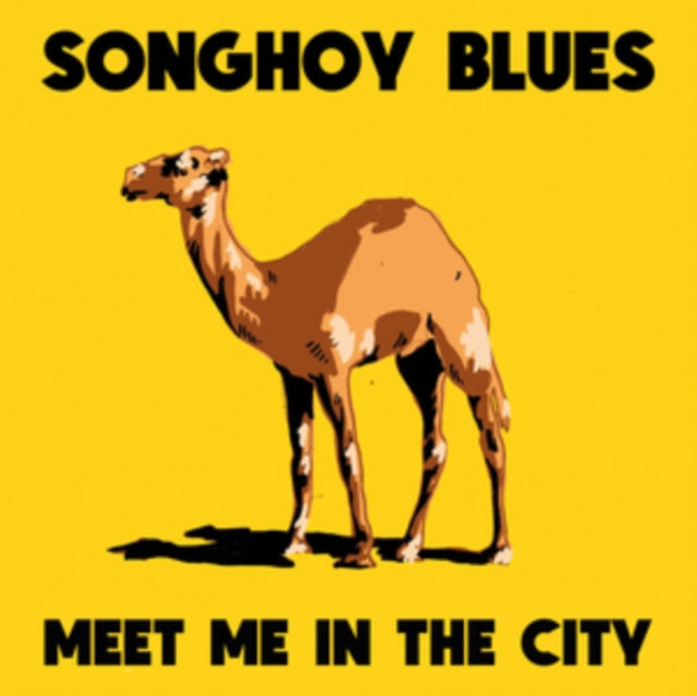 Meet Me in the City