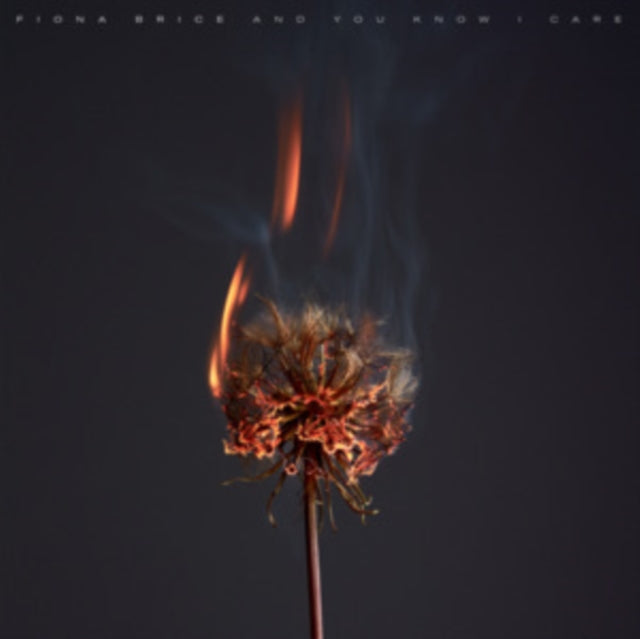 Fiona Brice: And You Know I Care