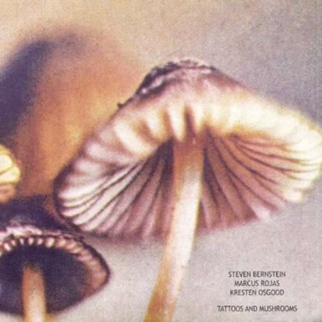 Tattoos & Mushrooms