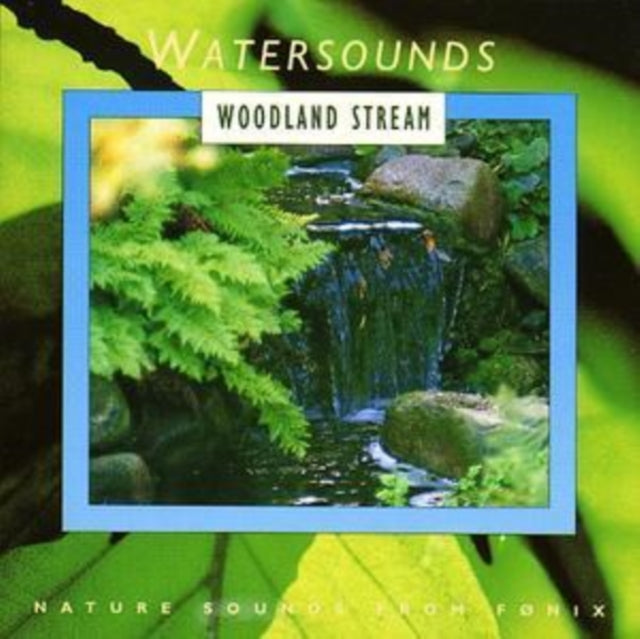 Woodland Stream
