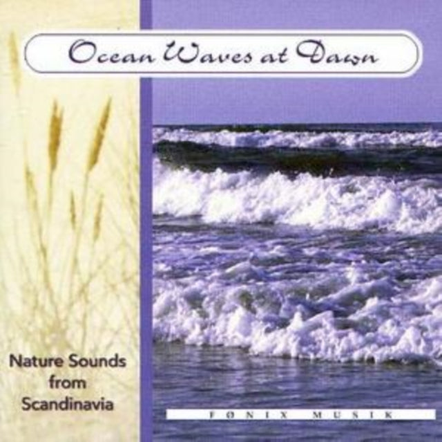 Ocean Waves at Dawn