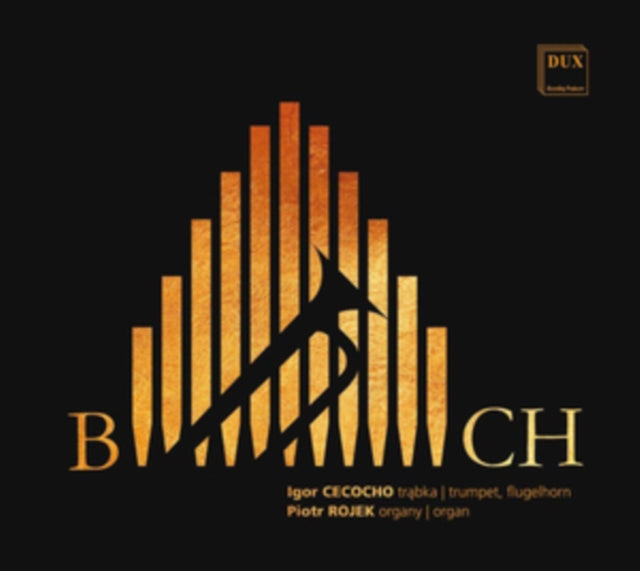 Igor Cecocho/Piotr Rojek: Bach