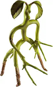 Bendable Bowtruckle