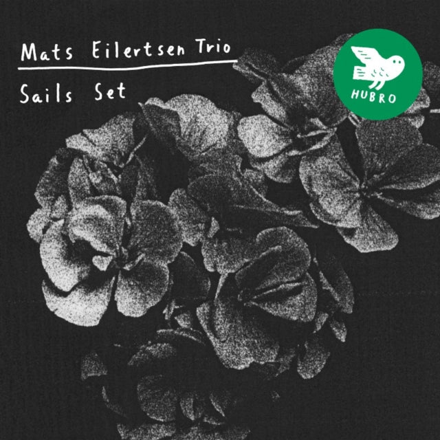 Sails Set