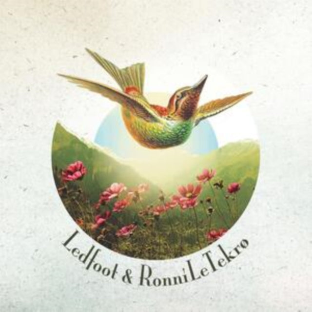 Ledfoot & Ronni Le Tekrø