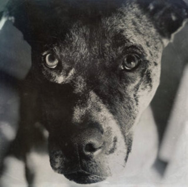 The Wind and the Runaway