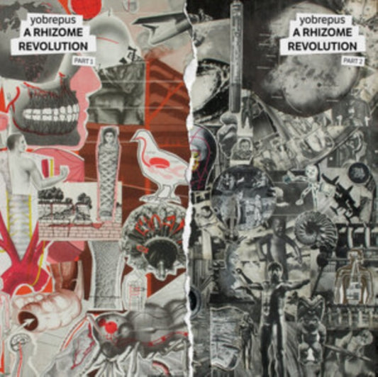 A Rhizome Revolution Part 1