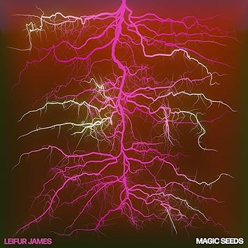 Magic Seeds (Deluxe Edition) (Ruby Vinyl) (+Booklet) (Indies)