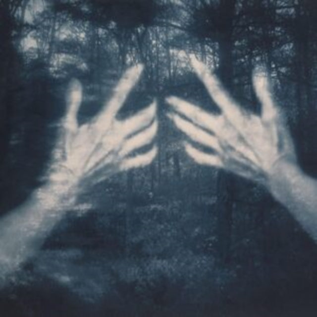 All the Birds and a Telephone Ringing