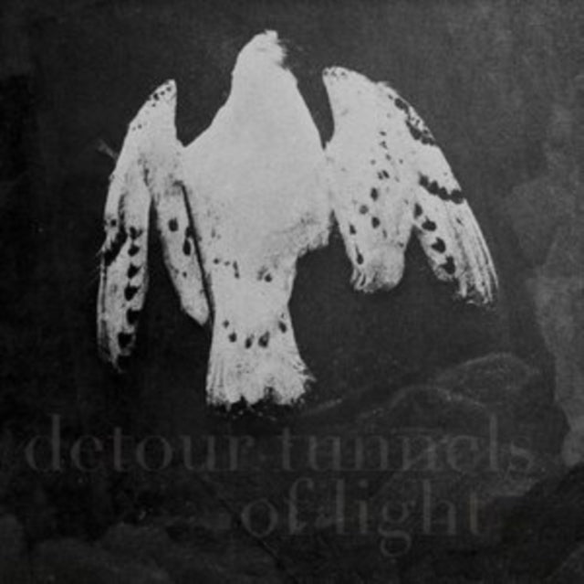 Detour Tunnels of Light