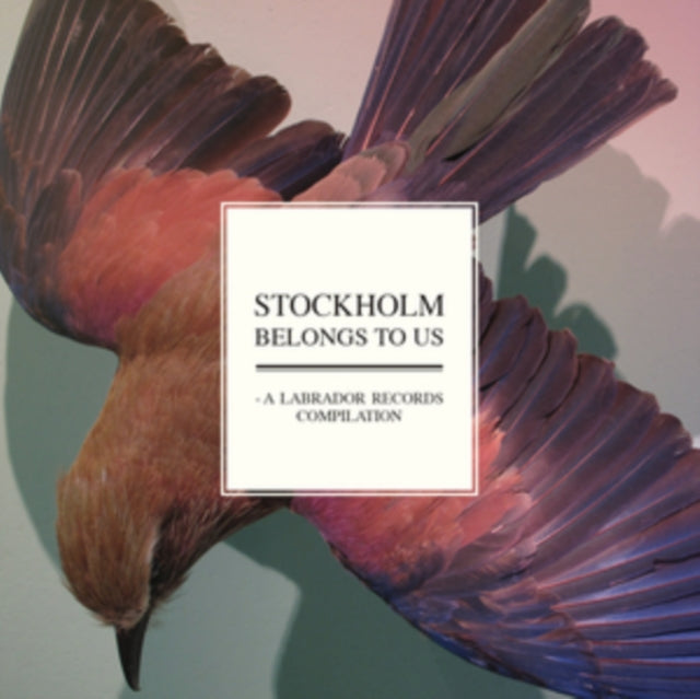 Stockholm belongs to us
