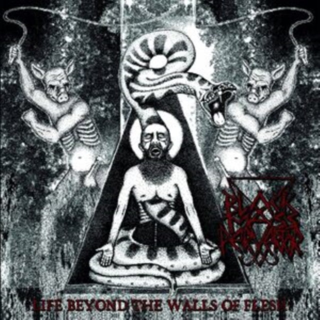 Life Beyond the Walls of Flesh