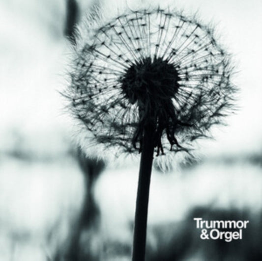 Graceful Degradation/New Beginning