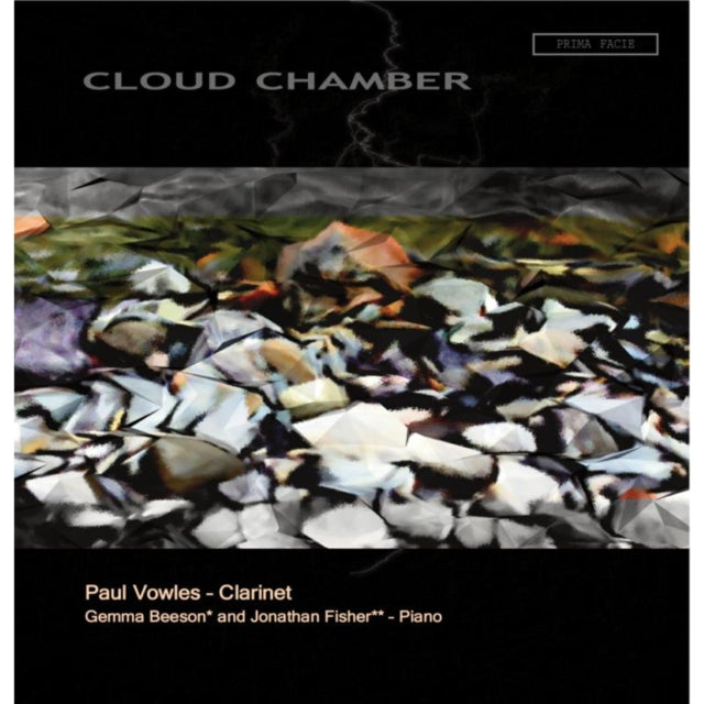 Paul Vowles: Cloud Chamber