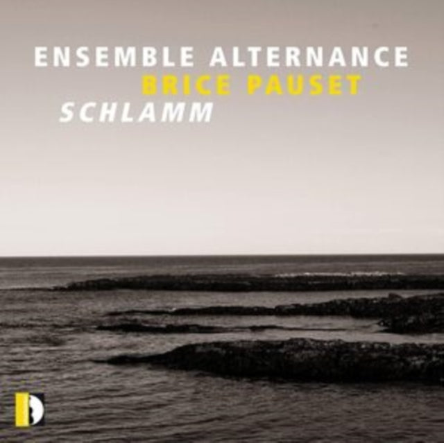 Brice Pauset: Schlamm