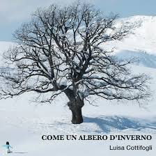Come Un Albero DInverno