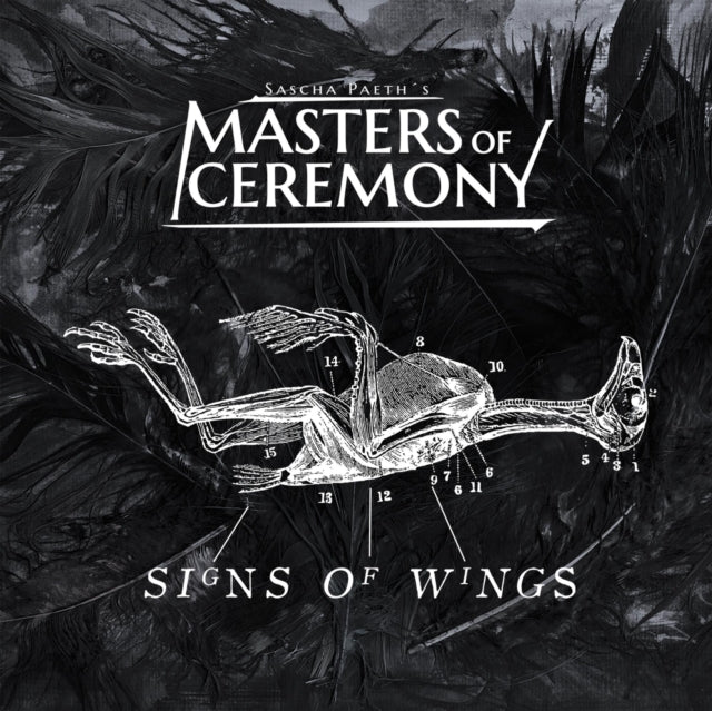 Signs of Wings