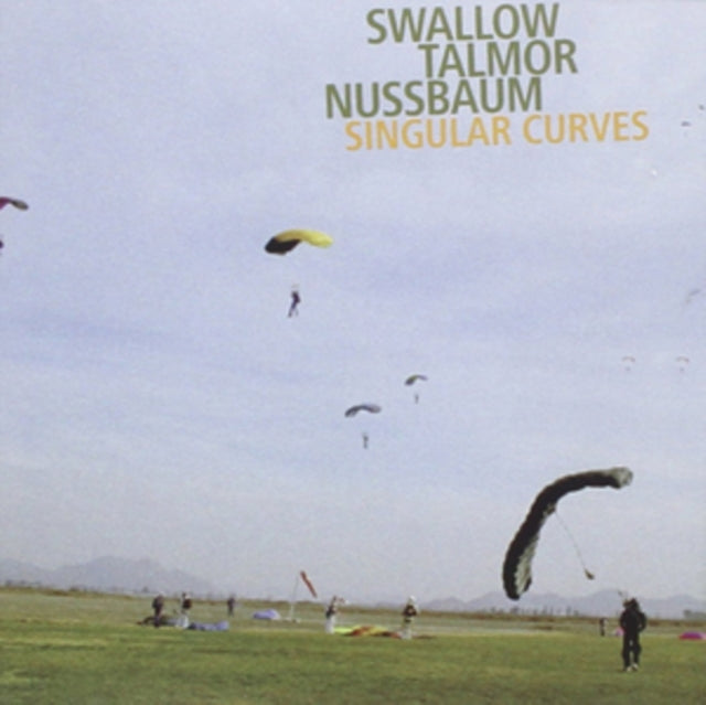 Singular Curves